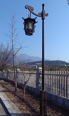太陽(yáng)能路燈LH-036